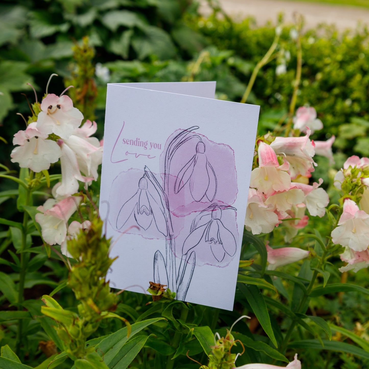 Sending you love Snowdrops Card