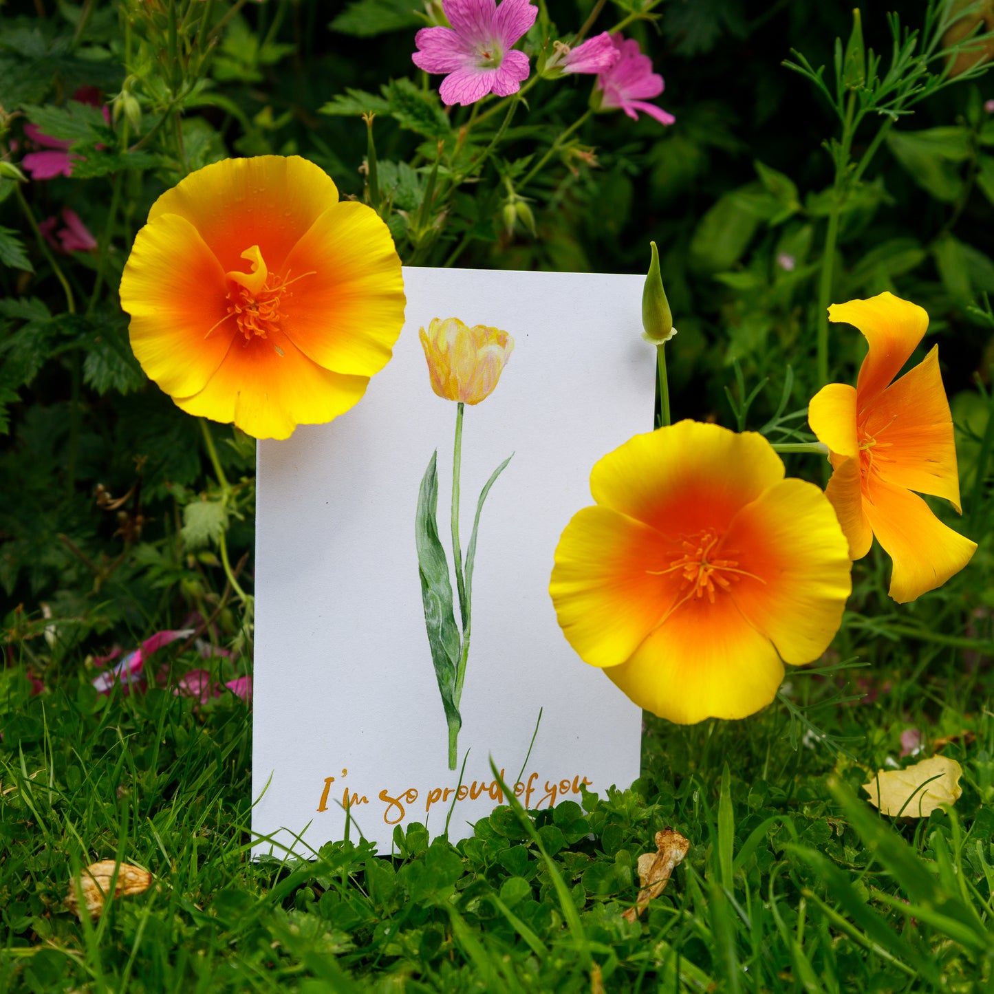 I'm so proud of you Tulip Card