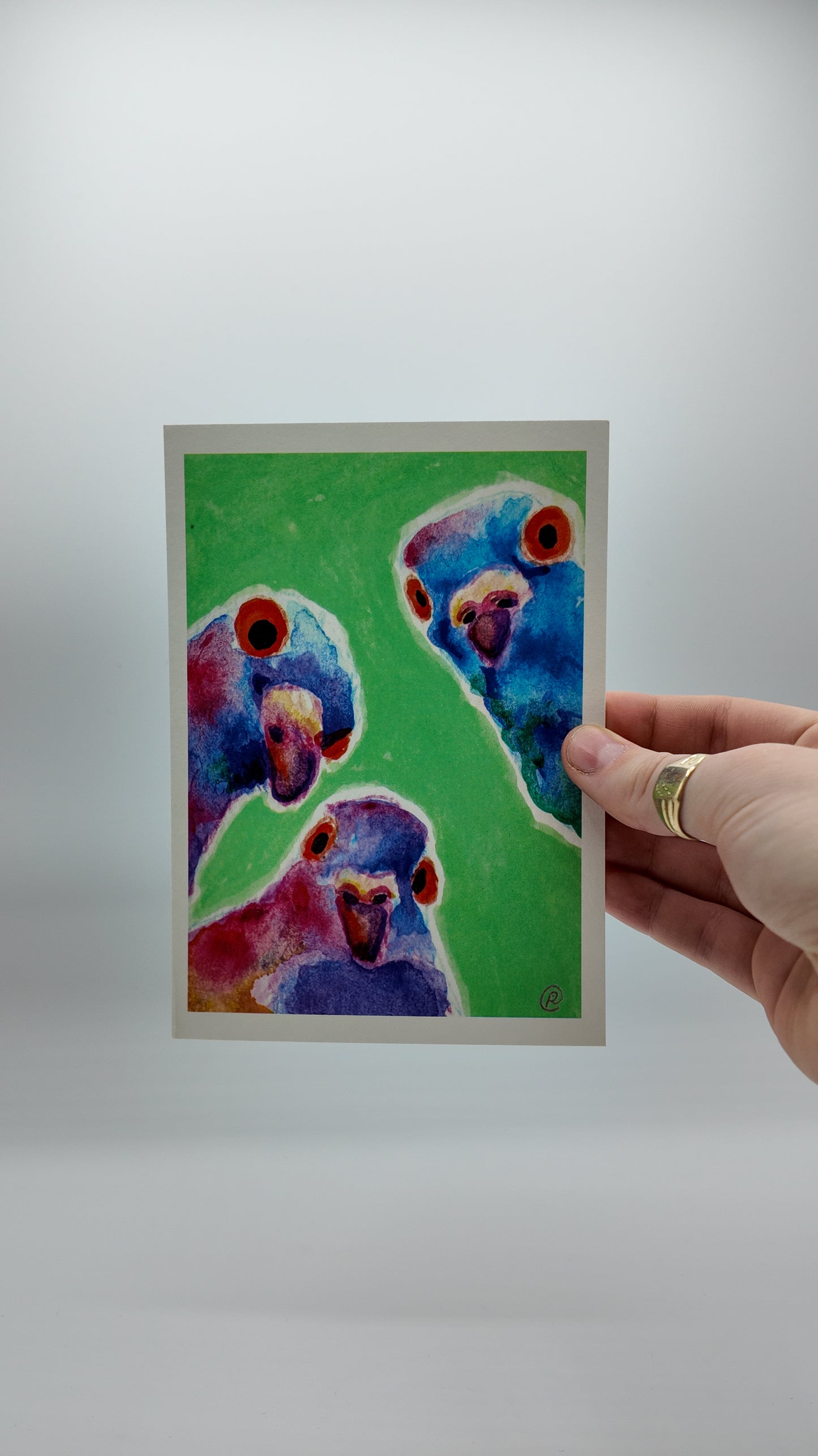 Three Inquisitive Pigeons | Art Print