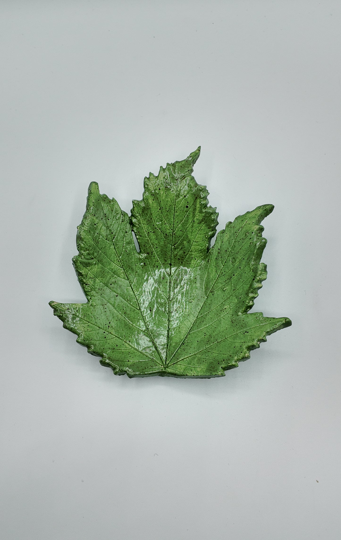 Season's Sycamore | Ceramic Dish