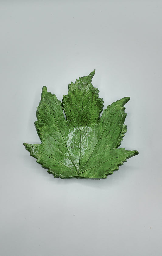 Season's Sycamore | Ceramic Dish