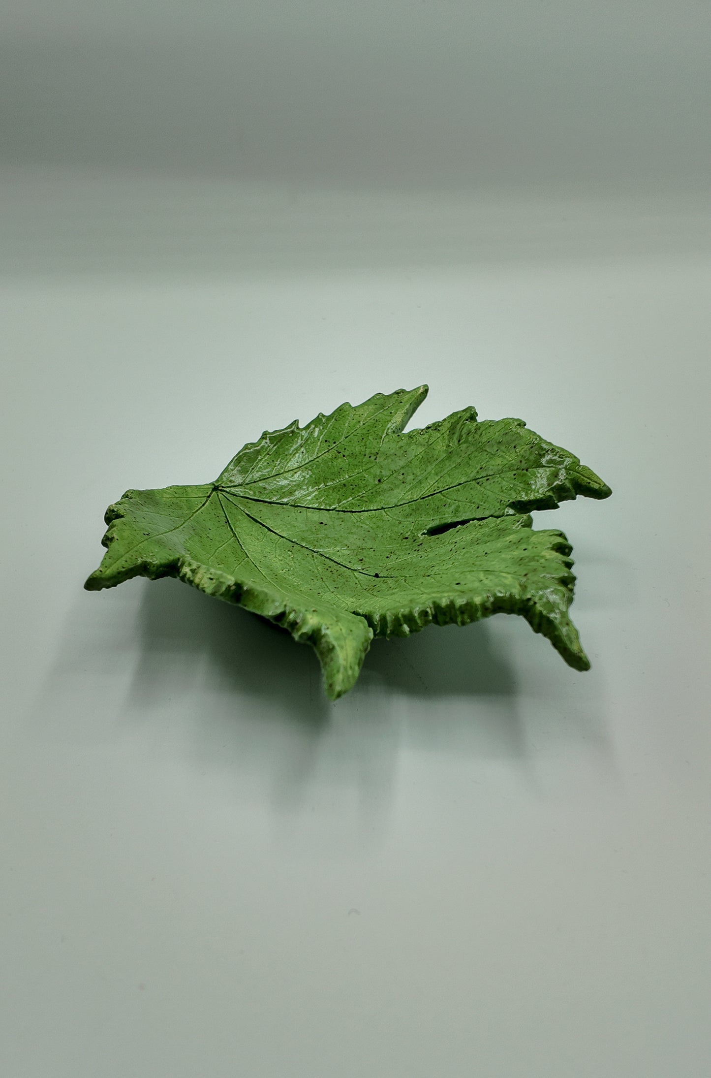 Season's Sycamore | Ceramic Dish