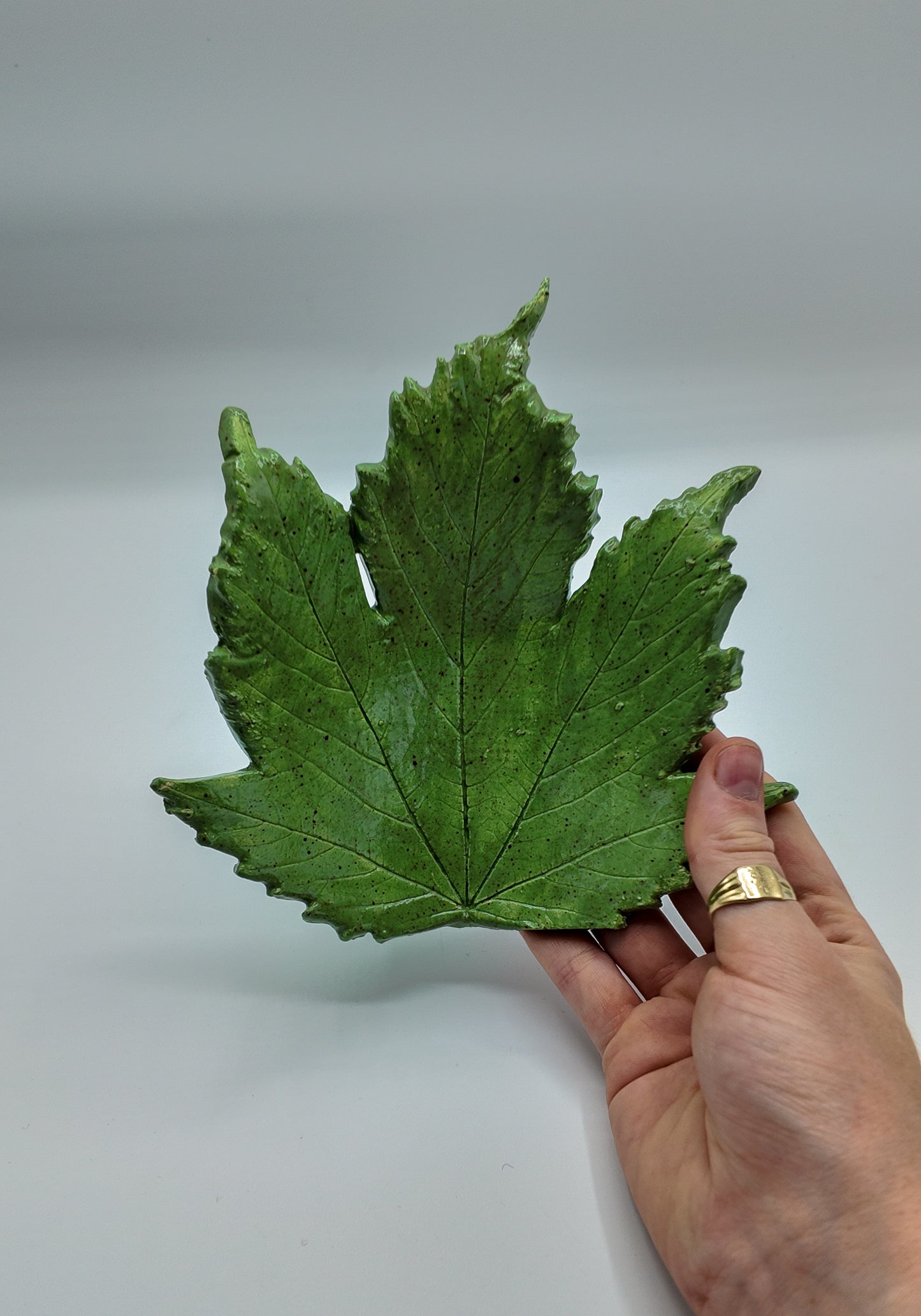 Season's Sycamore | Ceramic Dish