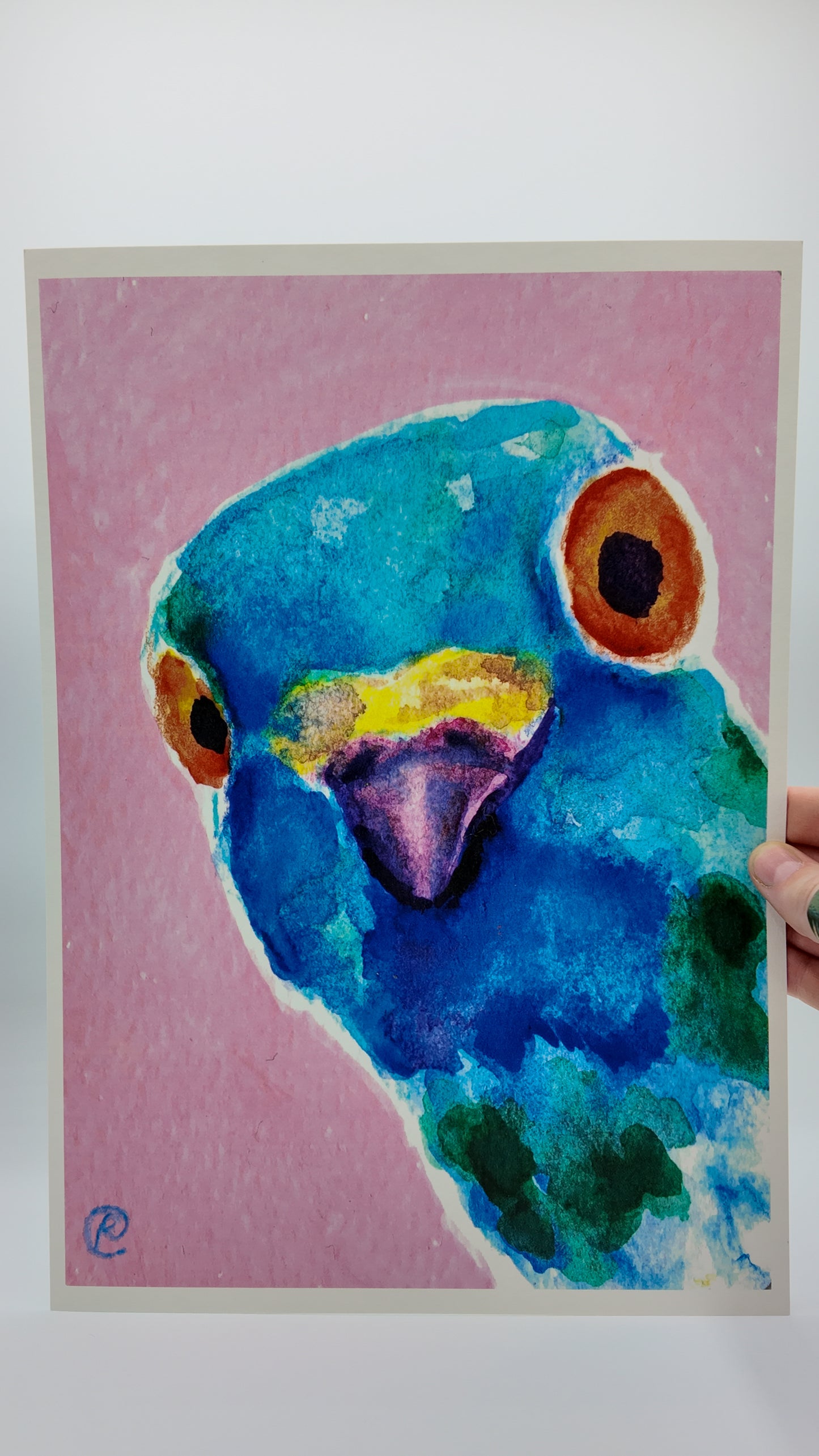 One Inquisitive Pigeon | Art Print