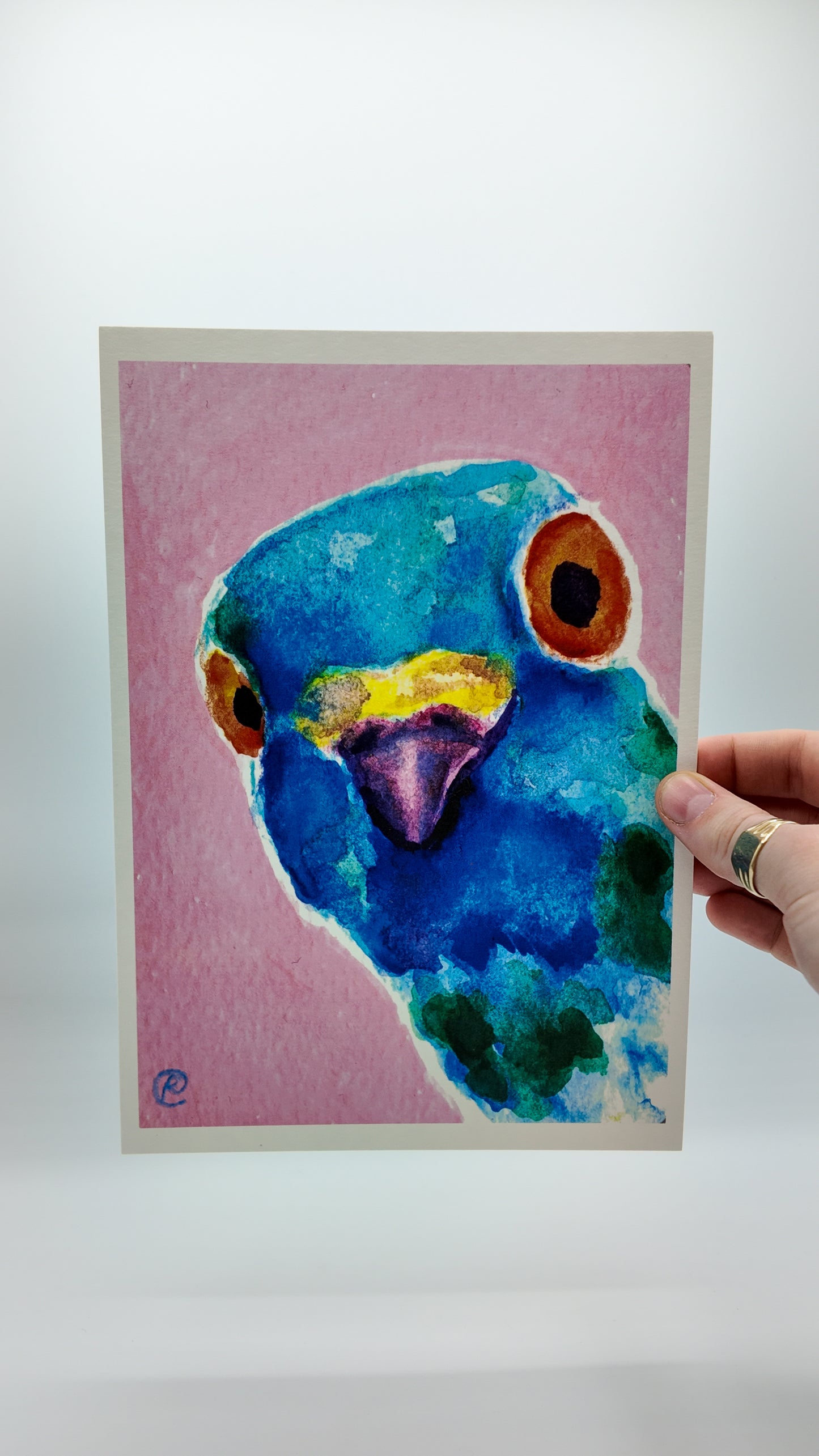 One Inquisitive Pigeon | Art Print