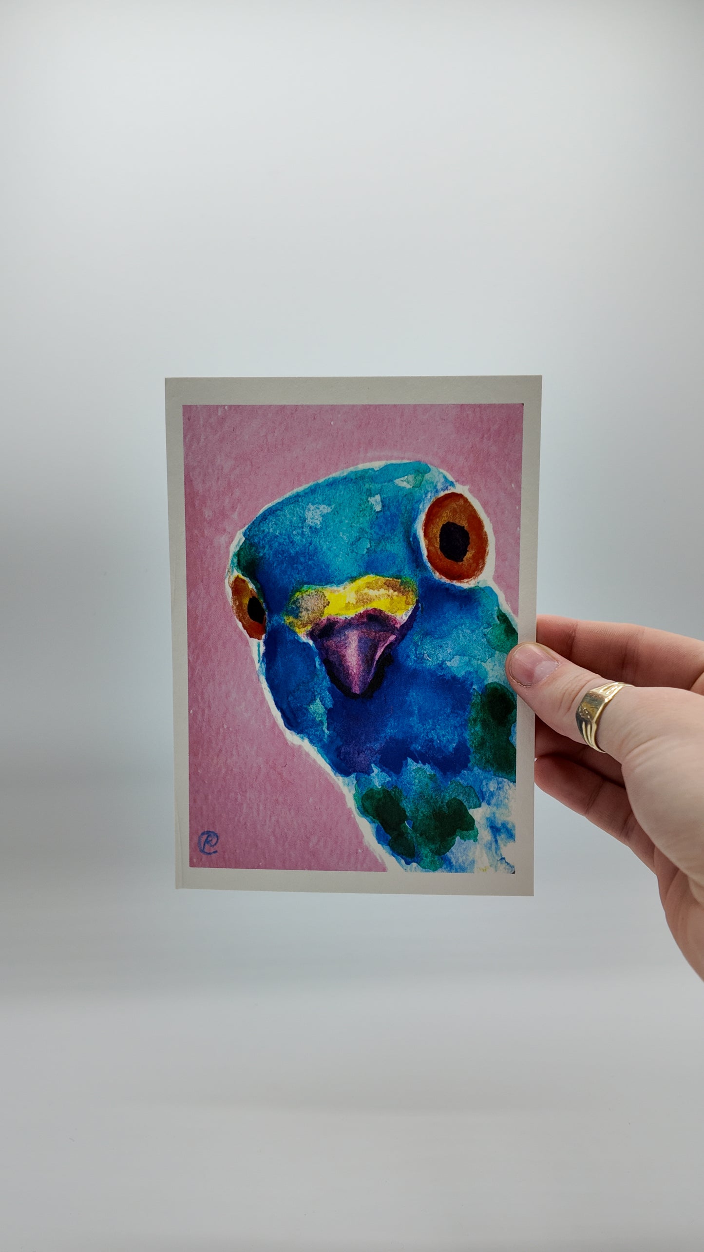 One Inquisitive Pigeon | Art Print