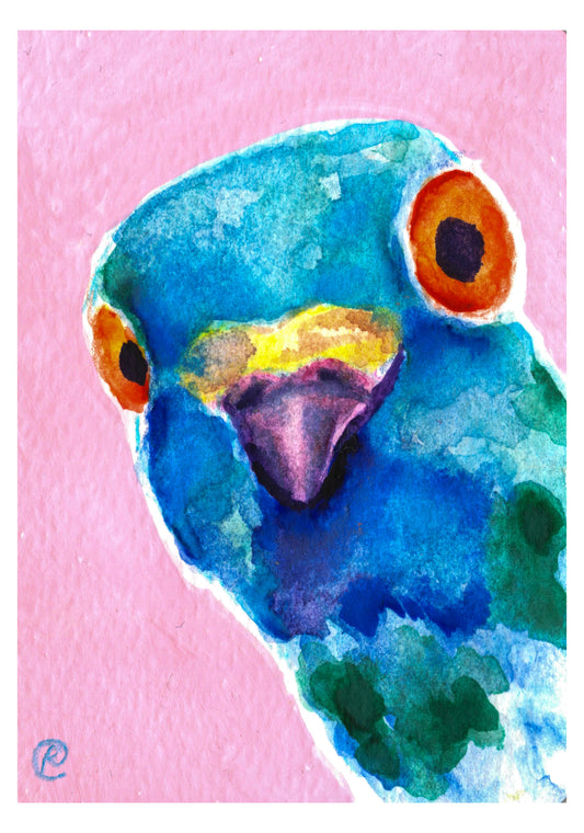 One Inquisitive Pigeon | Art Print