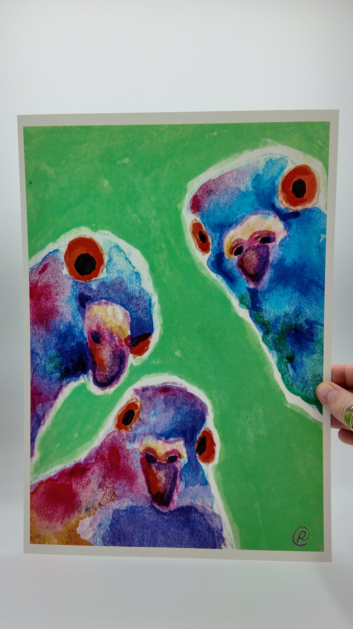 Three Inquisitive Pigeons | Art Print