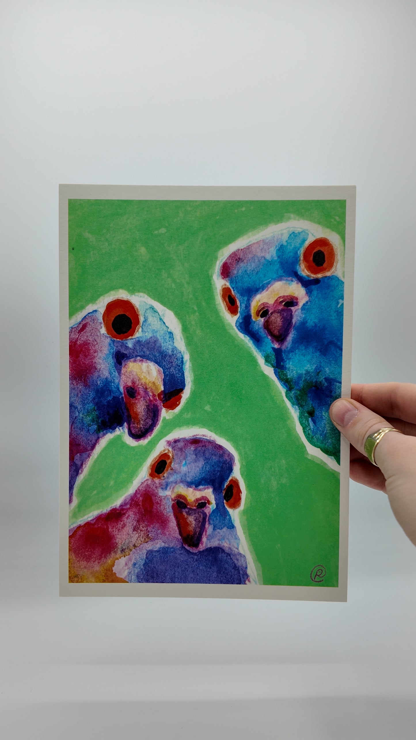 Three Inquisitive Pigeons | Art Print