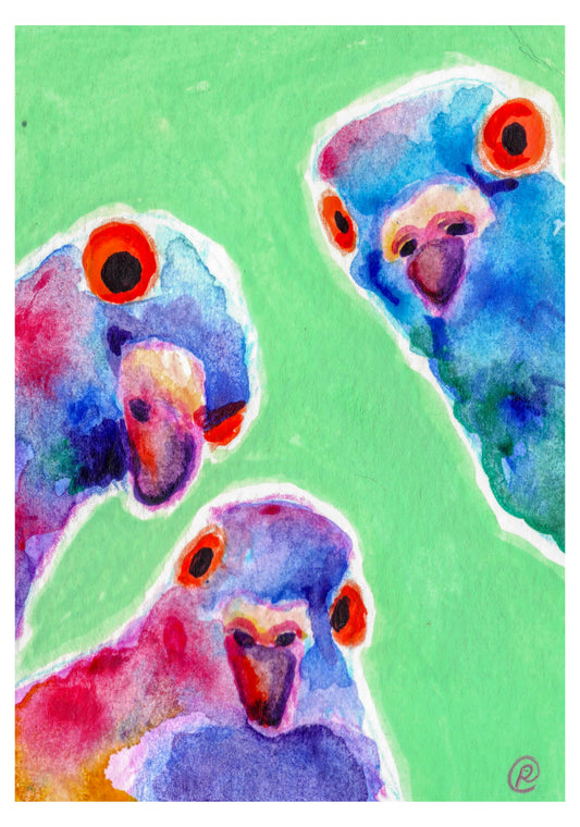 Three Inquisitive Pigeons | Art Print